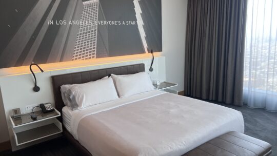 Intercontinental Los Angeles Downtown (King Premium Room City View)